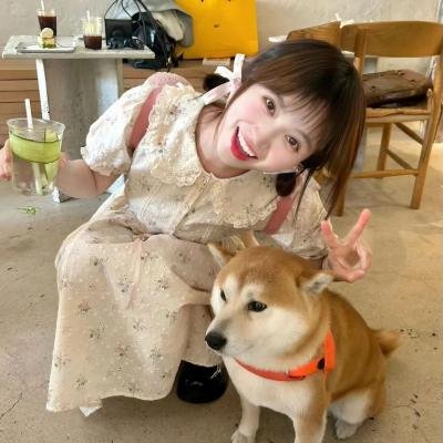 粉色飞碟