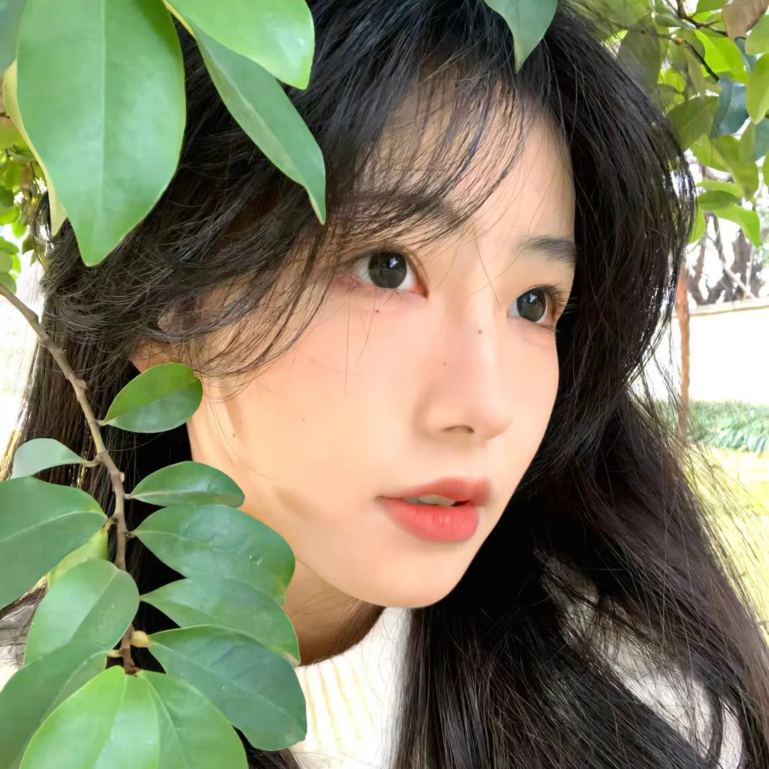 潘多拉第二季