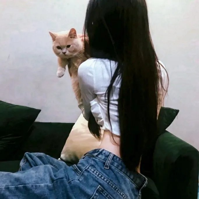 6号叩应女郎