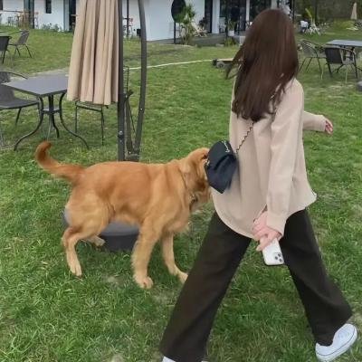 人间大炮3